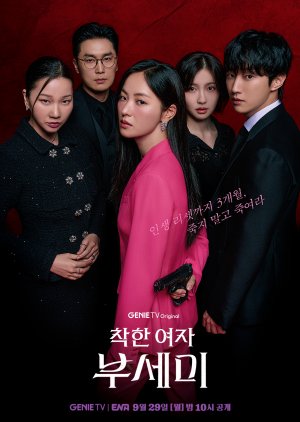 Ms. Incognito (2025) ภารกิจลับบอดี้การ์ดสาว ซับไทย