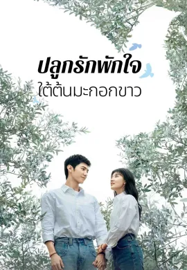 The White Olive Tree 2025 ปลูกรักพักใจ ใต้ต้นมะกอกขาว ซับไทย Ep1-38