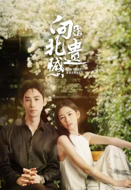 Xiangbei Regret 2024 เกสต์เฮาส์เยียวยารัก ซับไทย Ep1-20